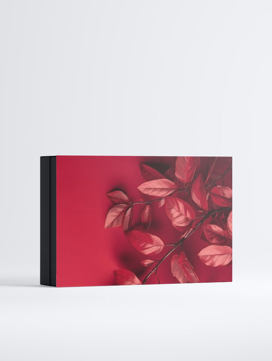 Boost Serum Collection Box | Unnamed Cosmetics