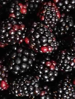 Gel de Limpeza Facial Natural | 145 ml | Unnamed Cosmetics